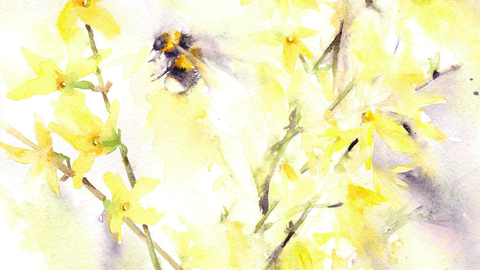 Bee watercolour