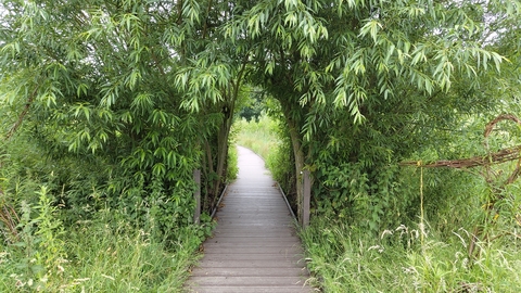 Archway at Idle Valley