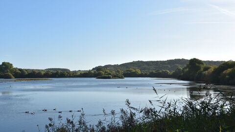 Attenborough Lake View 