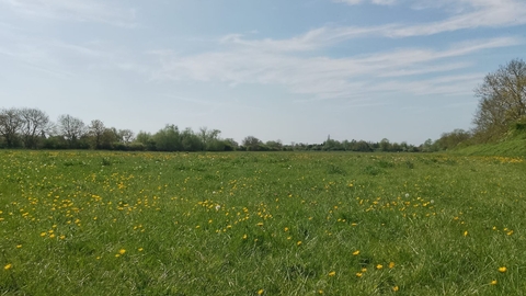 A view across a green meadow with trees in the background