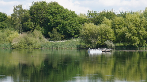tern platform on lake