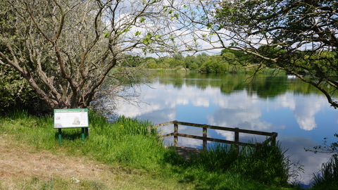 Interpretation sign by tree next to a wooden platform infront of the lake