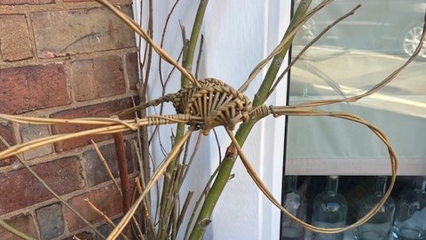 Dragonfly made of willow