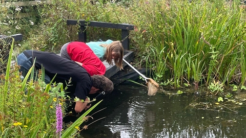Kids pond dipping