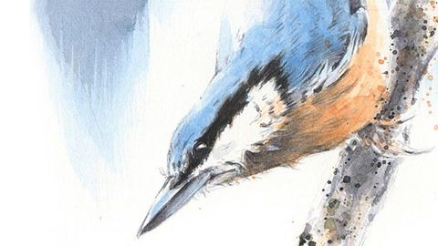 Painting of a bird looking down from a branch
