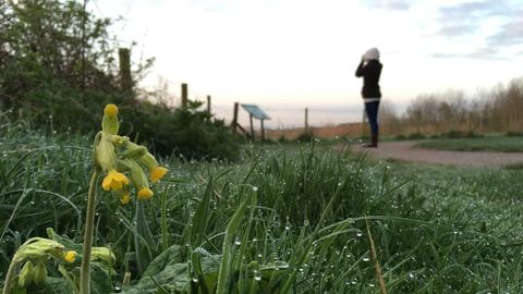 A low view of grass and flowers with a woman birdwatching in background