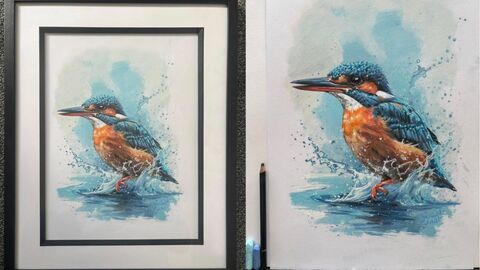 Framed picture of a kingfisher next to original painting