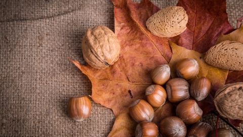Nuts and autumn leaves
