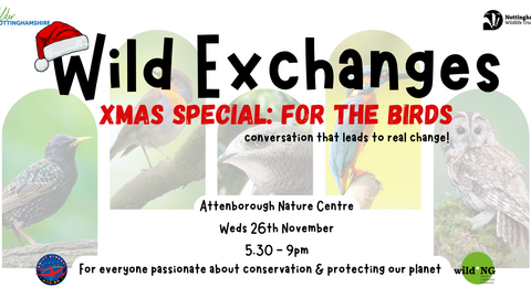 Wild Exchanges Christmas Special: For the Birds - conversation that leads to real change