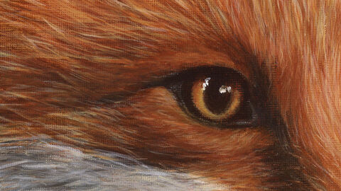 Painting of a fox