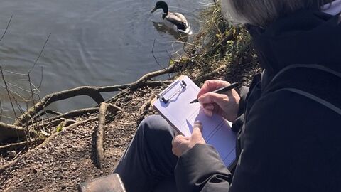 Woman sketching on paper while sitting in front of lake