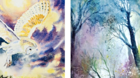 watercolour paintings of an owl and a tree