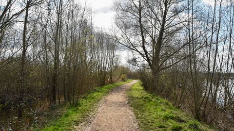Slightly curving path with grass and wintery, bare trees on each side. A lake is visible through the trees on the right