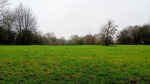 Grass field with trees