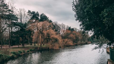 Lake and trees at University of Nottingham