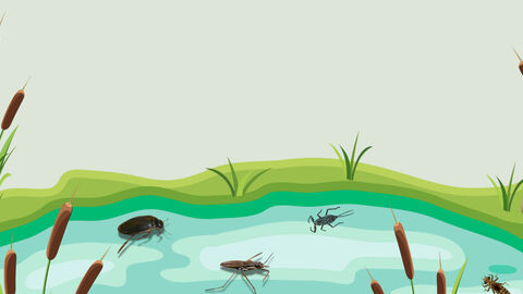 Illustration of pond containing waterborne insects