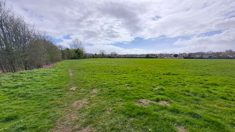 View across a large field with trees and houses in background