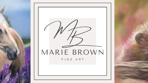 Picture of a horse in fields of flowers on left, Marie Brown Fine Art in the middle, picture of hedgehog in undergrowth on the right