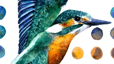 Painting of king fisher with background of coloured spots sampled from the bird