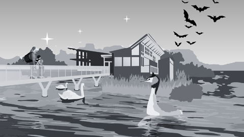 Illustration of Attenborough Nature Centre at twilight with bats