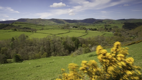 Cambrian Mountains, Wales
