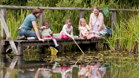 Children, and mothers, pond dipping and enjoying pond environment at Little Bradley Ponds, Bovey Tracy, Devon, UK. June 2011