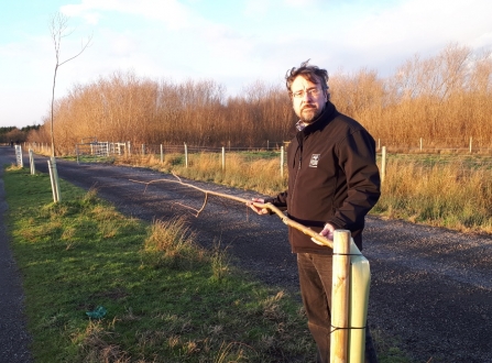 Erin McDaid inspecting the tree damage at Idle Valley Nature Reserve 2018