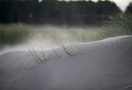Sand Dune - David Tipling 2020VISION
