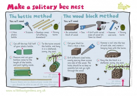Make a solitary bee nest