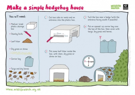 hedgehog home_0