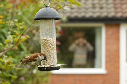 Hanging Bird Feeder wildlifetrusts_40555748138