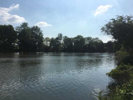 Langwith Lodge lake