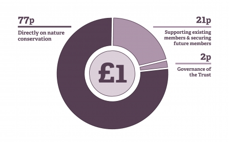 Membership Chart Graphic