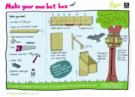 wildlife watch bat box