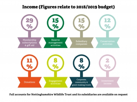 Income Graphics - Website