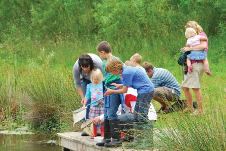 Pond dipping Idle Valley