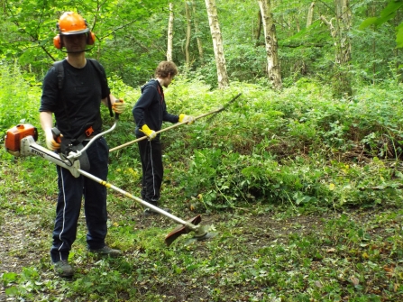 Young Roots habitat management - HLF