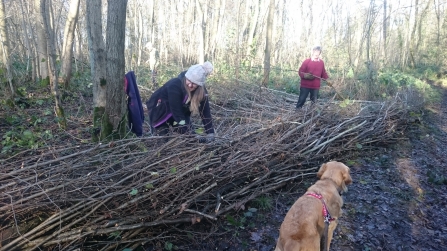 Young Roots habitat management - HLF