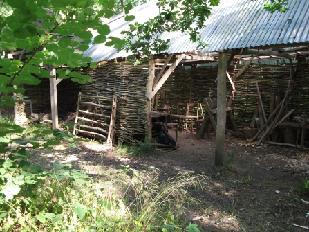 Treswell Woods Aquisition Funding Launch Event - HLF