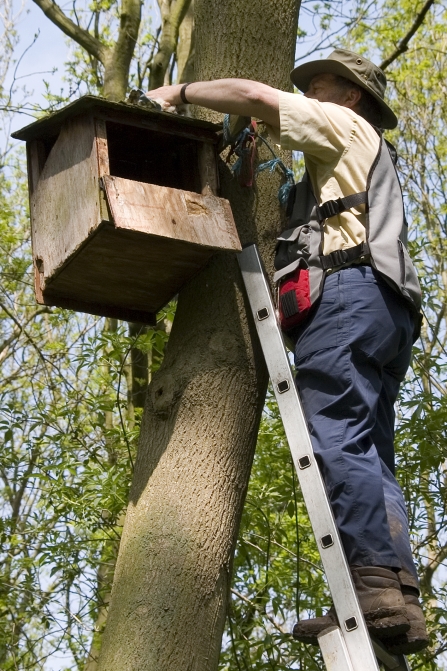 Chris de Feu Tawny owl box Jo Surgey NottsWT