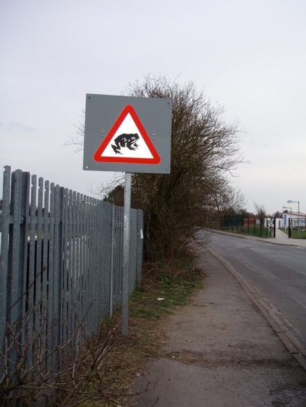 Toad crossing sign