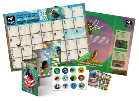 30 Days Wild 2019 Individual Pack