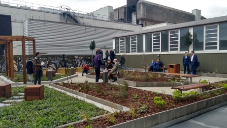 Victoria Centre Roof Garden, Hosta Consulting