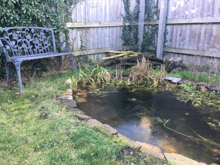 Cath's pond work in progress with plants and bench