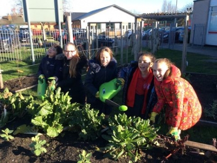 Trees for Cities veg patch