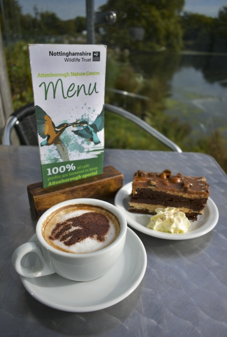 Attenborough Cafe - Brew with a view DSC_0175 EDITED.jpg
