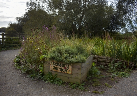 Attenborough Nature Centre Sensory Garden DSC_0204 EDITED.jpg