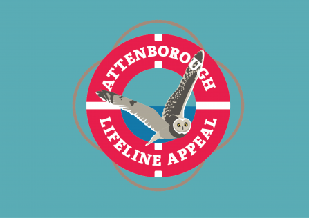 Attenborough Lifeline Appeal logo with Short Eared Owl