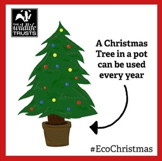 Eco Chrstmas tree