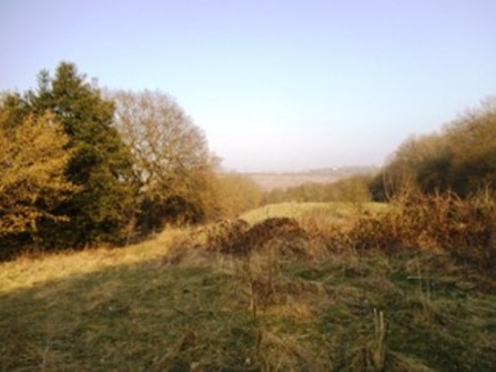 Bogs Farm Quarry Nature Reserve